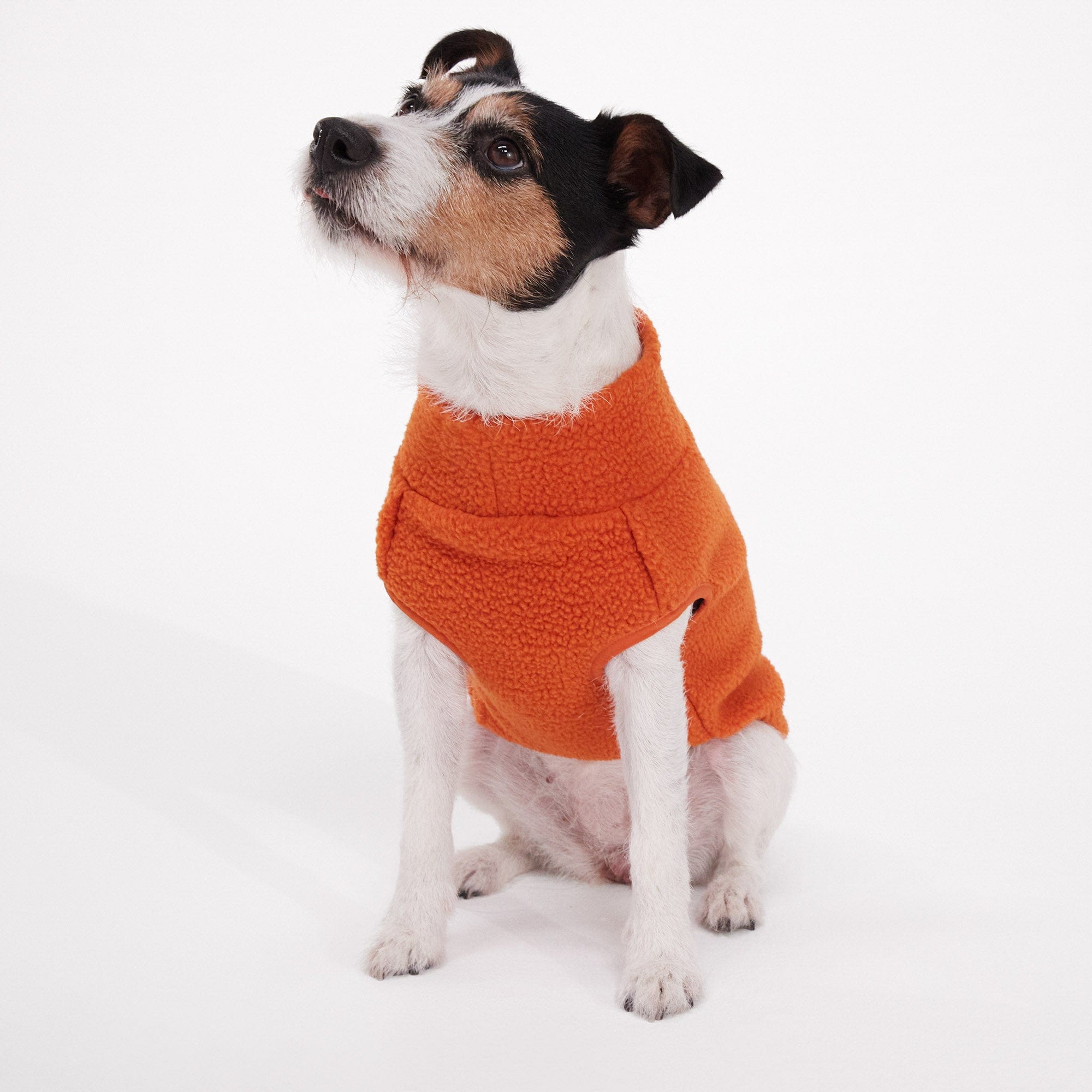 Sherpa clearance dog jacket