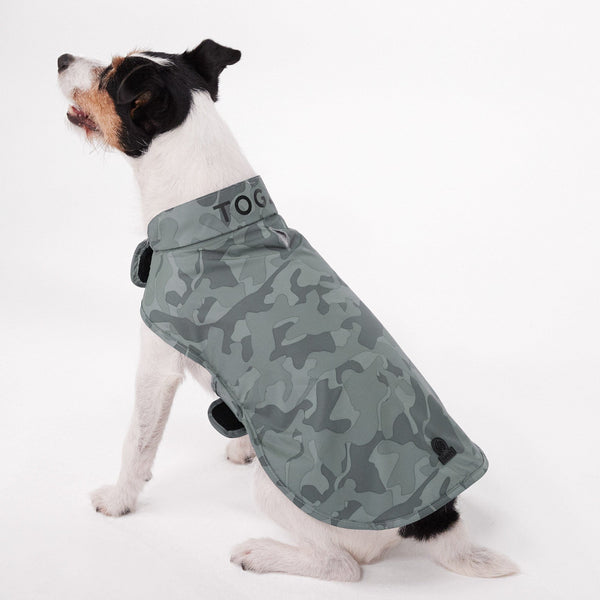 Dog store coats b&m